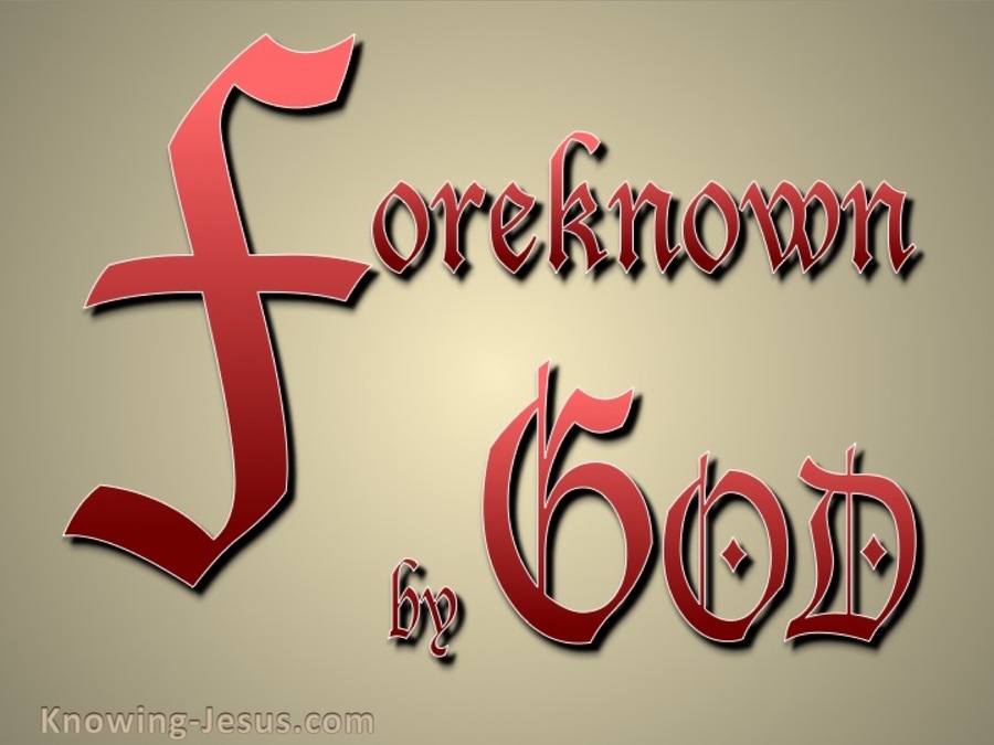 Foreknown of God (devotional) (gold)